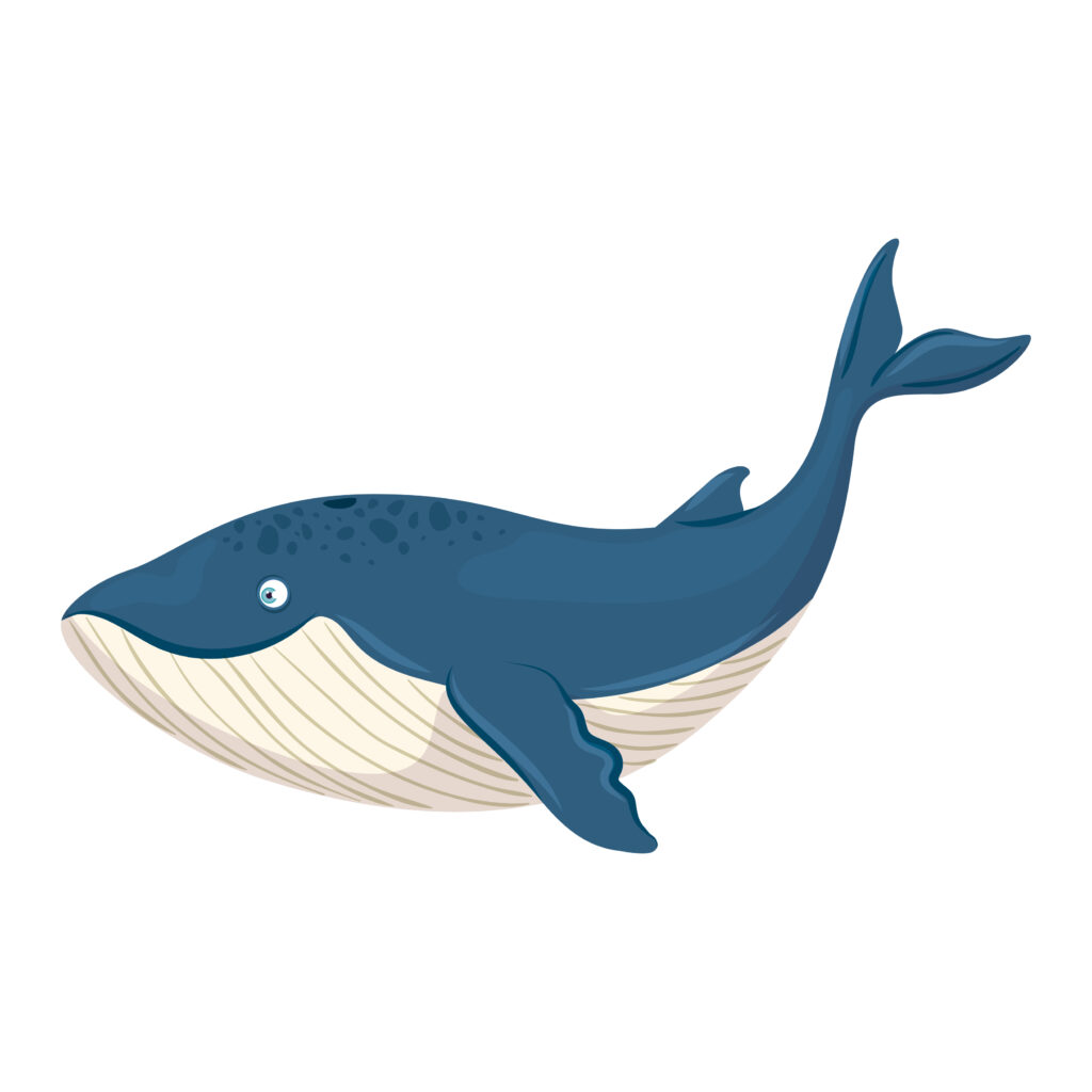 तिमि | व्हेल | Whale